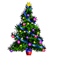 sapin22